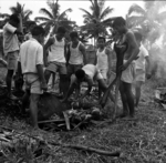 Image: Preparing earth oven at Tonga College, putting in pudding.