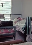Image: Bedroom with sleeping anthropologist?