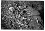 Image: Human bones in cave