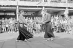 Image: Martial Arts/ Kendo demo in the quad
