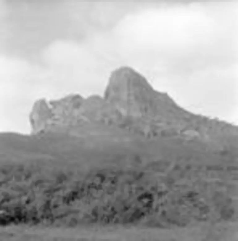 Image: Taratara Pā near Otangaroa, 17.