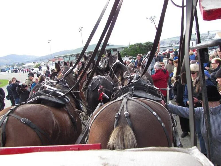 Image: Clydesdale Horse Society of New Zealand