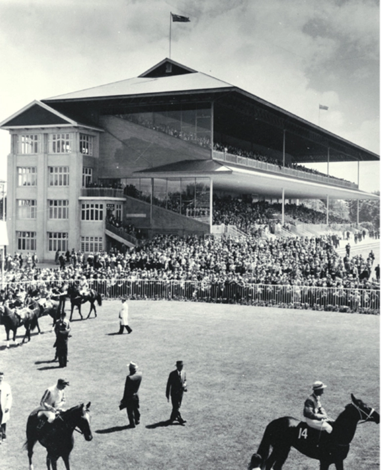 Image: Horses parading in the ring at Riccarton Racecourse