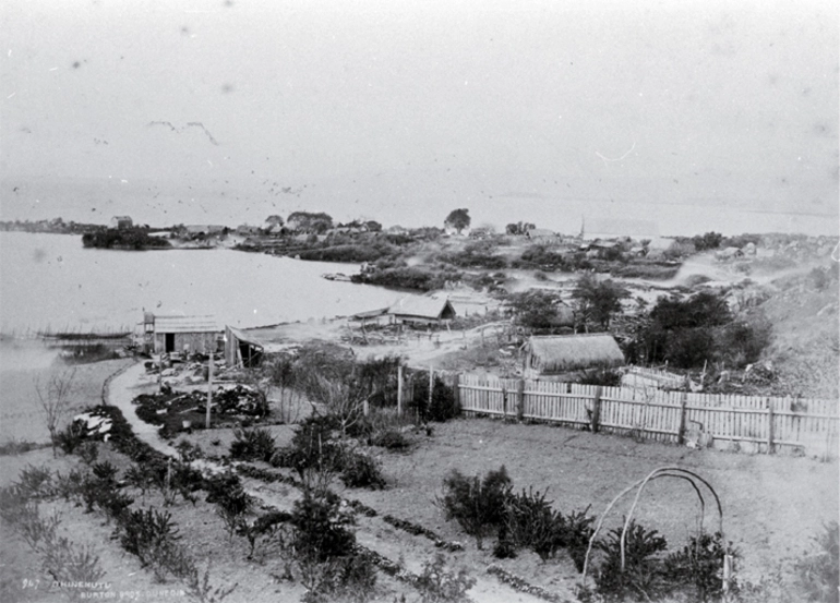Image: Whares of the Ngati Whakaue, Ohinemutu