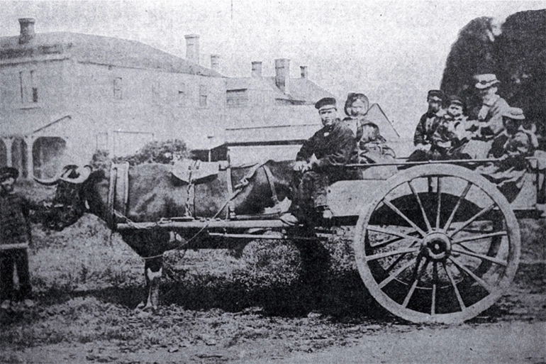 Image: The Stanley family in their bullock cart in Cathedral Square, Christchurch