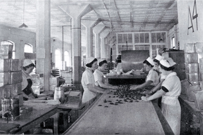 Image: Many girls in mass-production factories work on moving belts