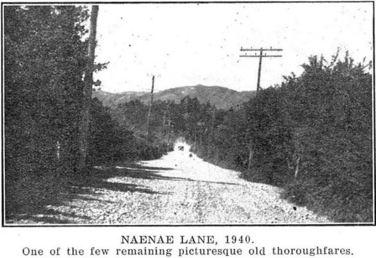 Image: Naenae Lane, 1940.