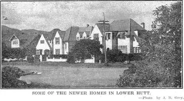 Some of the Newer Homes in Lower Hutt. Image: Some of the Newer Homes in Lower Hutt.