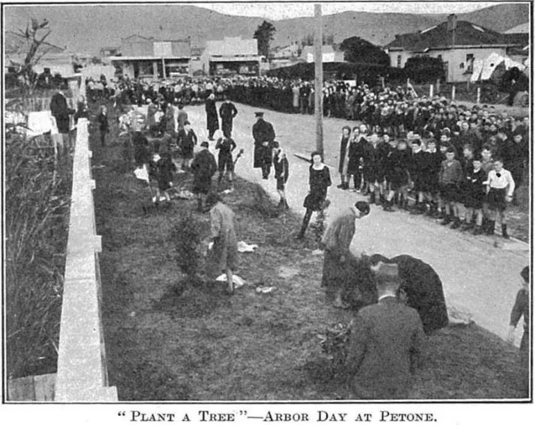 Image: " Plant a Tree "—Arbor Day at Petone.