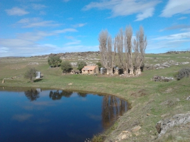 Image: Chinese Miners Cottage