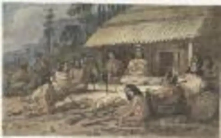 Image: New Zealand warriors, presenting trophies of conquest to their queen, Turero [i.e. Torere], Bay of Islands [picture] /