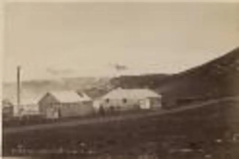 Image: Castle Hill accommodation house, New Zealand [picture] /