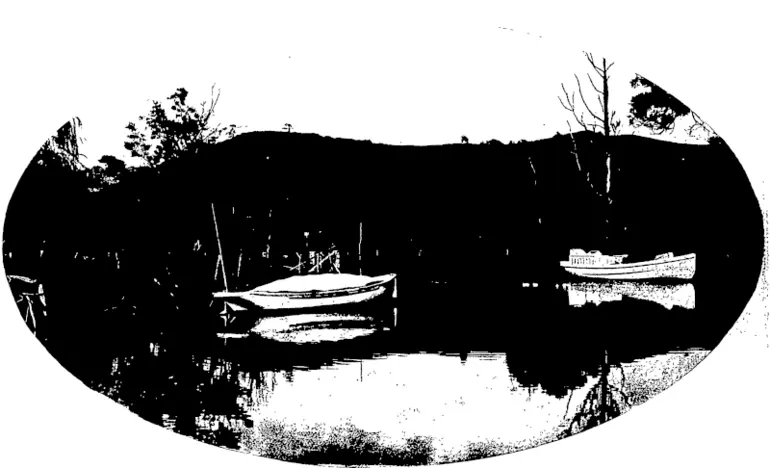 Image: VIEW ON THE KAEO RIVER, SHOWING OIL LAUNCHES TRADING BETWEEN KAEO AND WHANGAROA. (Otago Witness, 30 December 1903)