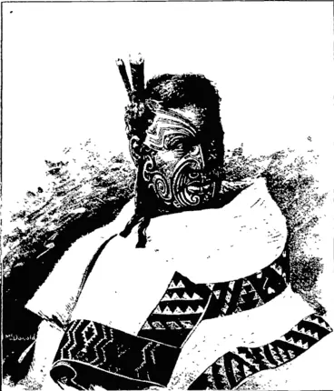Image: RIWHTTETEI POKAI.  This fime old warrior chief, one of the highest in rank in the Ngapuhi tribe, died in the Bay of Islands district during 1904, at the age of over 80 years He was a typical toa or brave of the- old school. In 1845-46 he played a conspicuous part m the Northern War waged by Hone Heke against the British troop?. He was ono of Heke's most dashing lieutenants, and distinguished himacllf just before the war began by capturing the blockhouse at the foot of the flagstaff, which crowned the hill above the town of Kororareka, now known as Russell, and cutting down the obnoxious staff. He snared in all the engagements which followed, and was wounded by a bayonet thrust at Okaihau. Pokai was related to the famous Hongi Hika, the Napoleon of North New Zealand. One of the late chief's nephews is Hone Hcke, M.H.R. (Otago Witness, 21 December 1904)