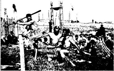 Image: A .NATIVE COMBAT BY THE HAWJE'S BAY MAORIS (Otago Witness, 13 March 1907)
