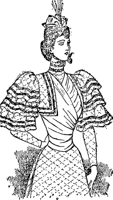Image: A Stylish Costume, (Auckland Star, 25 November 1893)