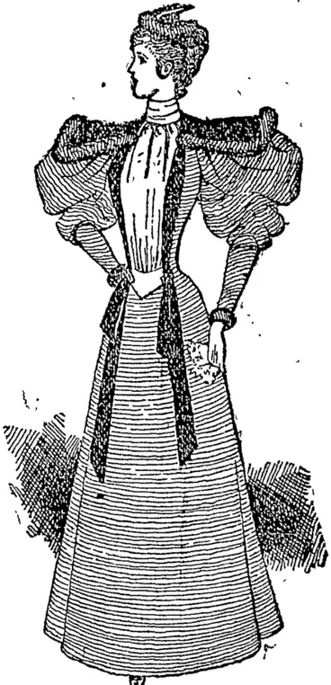 Image: An Elegant Costume. (Auckland Star, 08 June 1895)