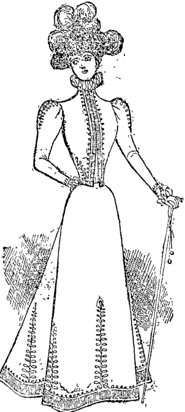 Image: Stylish Braided Costume (Auckland Star, 28 August 1897)