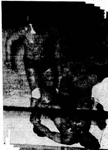 Image: DEATH-LOCK AGAIN.Â—/ac& Forsgren tried to win a fall front "Lofty" Blomfield by using the tortuous death-lock on Monday night.in the course of the double wrestling bill at the Town Hall. (Evening Post, 08 August 1936)