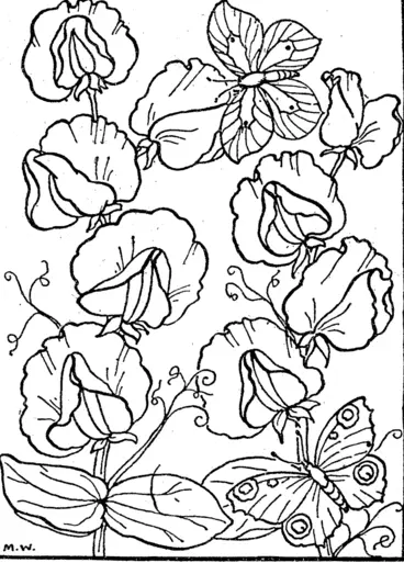 Image: This is the fourth and final of the flower pictures in our competition. Sweet peas, with their frilly, sail-like petals, are dainty subjects for point brushes. Use pastel pinks, blues, and mauves, and shade each flowers (Evening Post, 24 September 1938)