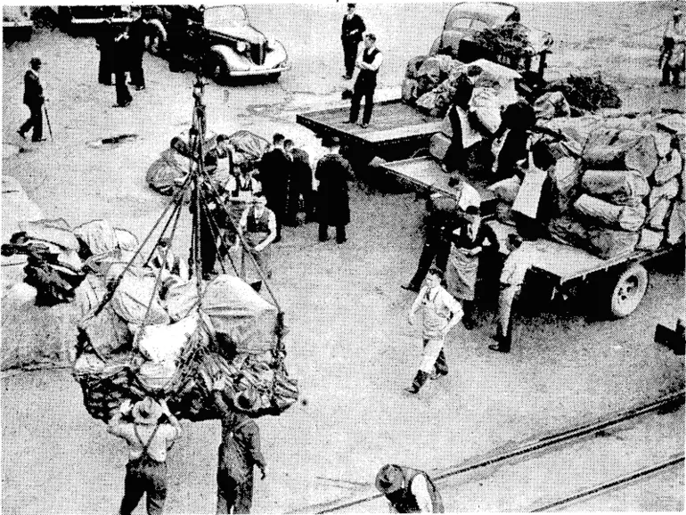 Image: Evening Post" I'hoto. Putting the finishing touches to the skeleton of the great racehorse Phar Lap at the Dominion Museum, where it has been assembled. Mr. E. H. Gibson, F.R.Z.S. (left), of Dunedin, and Mr. C. Lindsay (standing beside the table) have carried out the work. The third figure in the picture is Mr. R. Walpole, ivho made the base on ivhich the skeleton stands. "Evening Post" Photo. Post Office lorries being loaded at Pipilea Wharf yesterday with English mail brought by the liner Araiva. The mail was the largest to arrive from Britain for some time. (Evening Post, 05 November 1938)