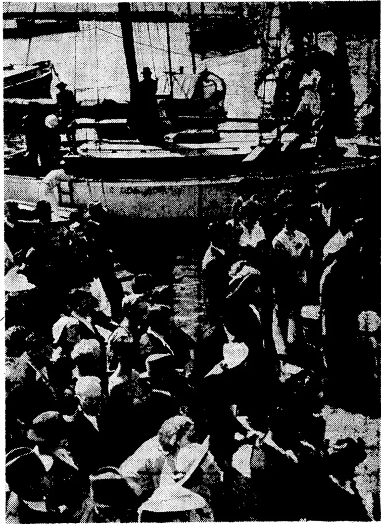 Image: Evening Poet" Phot* Spectators at the Boat Harbour, last Saturday, when the Royal Port Nicholson Yacht Club opened iv J938-39 semen* (Evening Post, 12 November 1938)