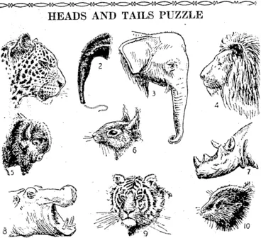Image: You'll find great fun in this game of Heads and Tails. See If you can work it out, A head and a tail are shown for each of ten animals, bui they are not given in the same order. Write the number of the head. the letter of. the tail, and the name of the animal for each. For example. 11 M Donkey. All the ten animals are included in this, list: Anteater. Antelope, Bear, Beaver, Bison, Buffalo, Elephant, Gazelle, Hippopotamus. Leopard, Lion, Lynx, Racoon, Rat, Rhinoceros, Seal, Squirrel. Tiger, Yak. (Evening Post, 26 August 1939)