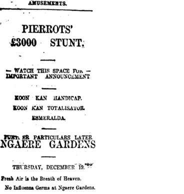 Image: Page 1 Advertisements Column 1 (Taranaki Daily News 10-12-1918)