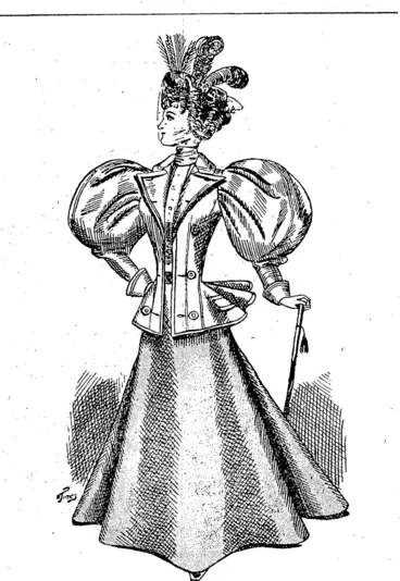 Image: STYLISP TAILOE MADE COSTUME. (Star, 19 January 1897)