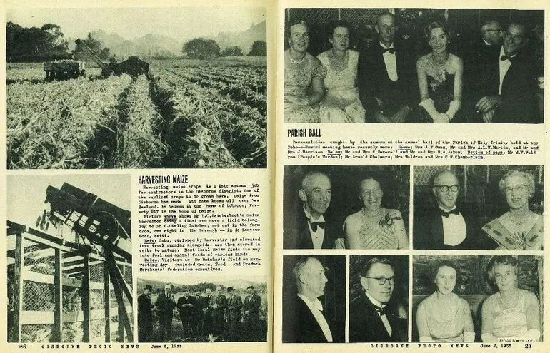 Image: Harvesting Maize