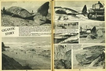 Gigantic Story Image: Gigantic Story