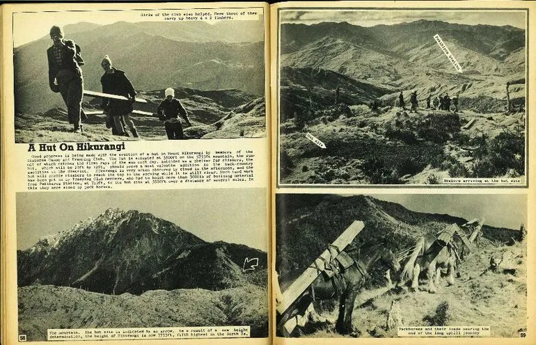 Image: A Hut On Hikurangi
