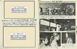 Pot Pourri Image: Pot Pourri