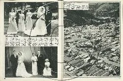 Wedding Bells Image: Wedding Bells