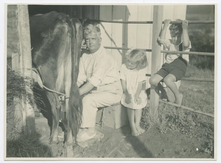 Image: Milking Brownie, Whakapara, Jan 1936