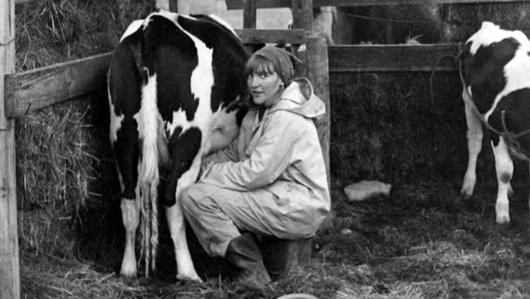 Image: Milking at Rainbow Valley Community