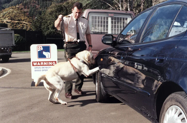 Image: Police dog training centre, Trentham; Department of Corrections drug-detection team; Maurice O'Connor, Angus.