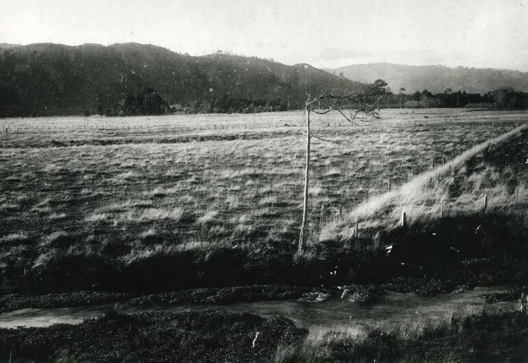 Image: Flat pasture facing western Hutt hills; Heretaunga golf course site?