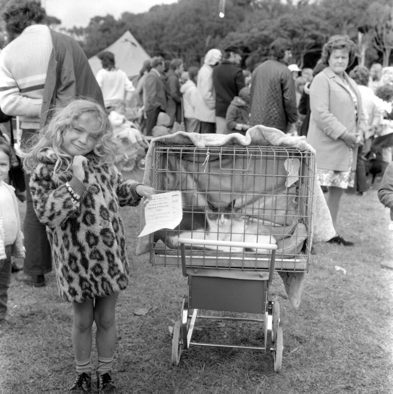 Image: A & P show; pet parade; cat.