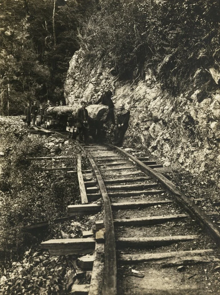 Image: Timber industry; Campbell's Sawmills Ltd, Karapoti; logging tractor trial.