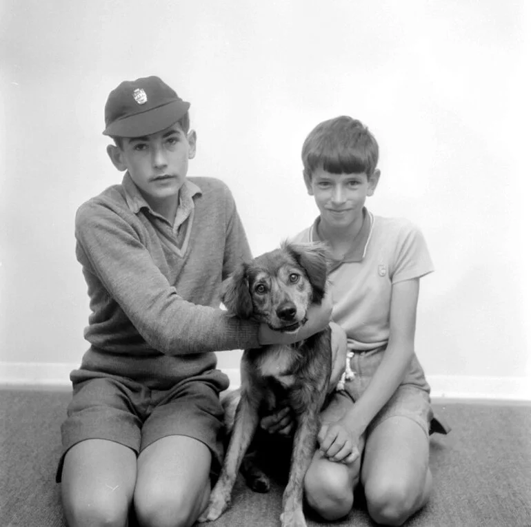 Image: Animal Rescue (?) boys and dog.