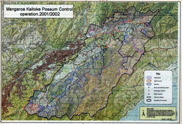 Image: Possum-control operation map 1, Mangaroa / Kaitoke.