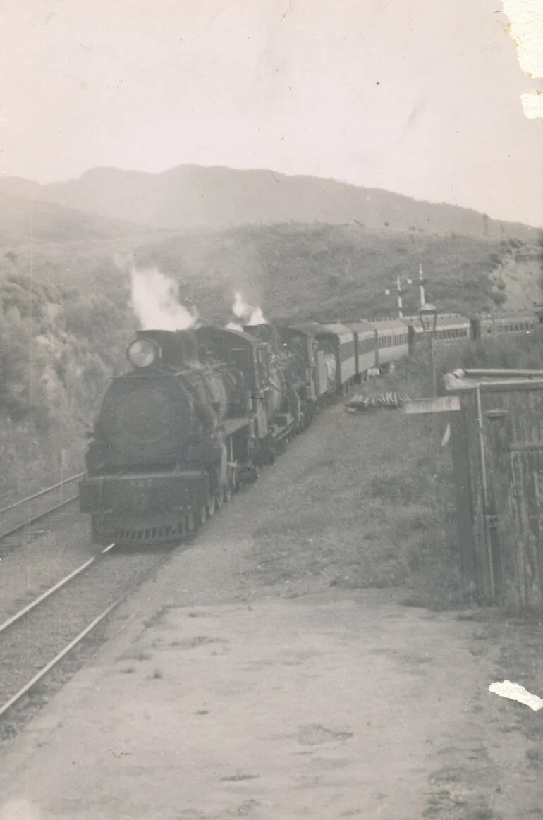 Image: Train passing through Kaitoke Station