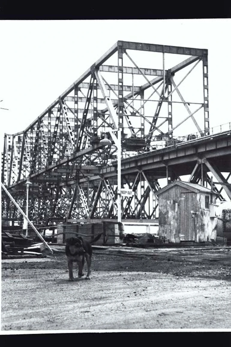 Image: A dog walking in front of the construction of the Auckland Harbour Bridge, 1957?