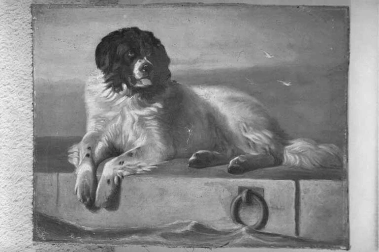 Image: Photograph of an oil painting of a dog (Landseer?), ordered by Mrs Knight