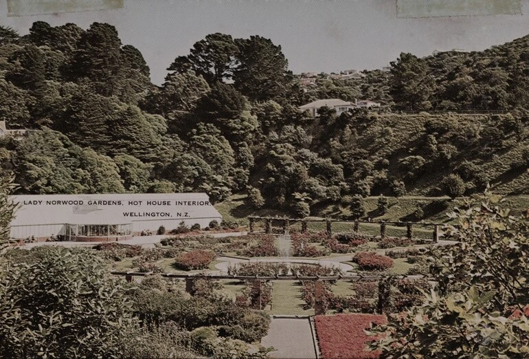 Image: Lady Norwood Gardens, Hot House Interior, Wellington, N.Z.