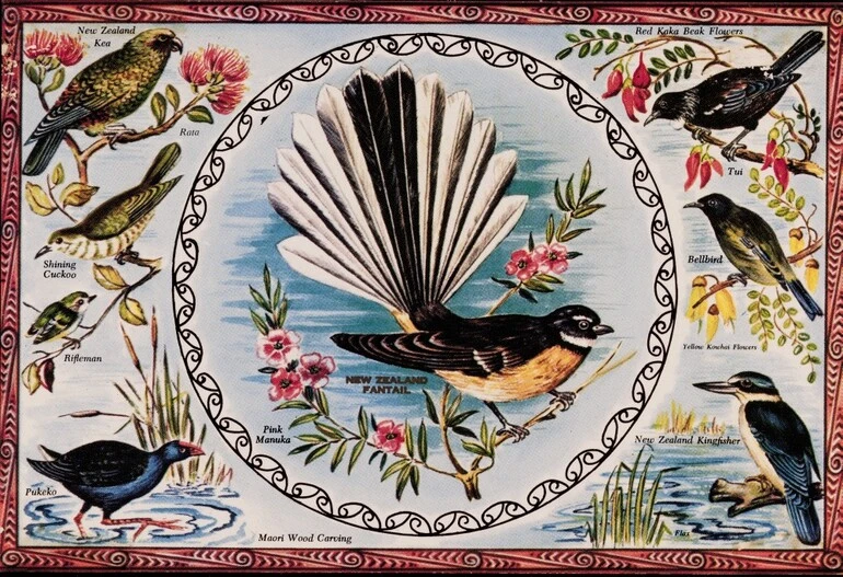Image: New Zealand Fantails