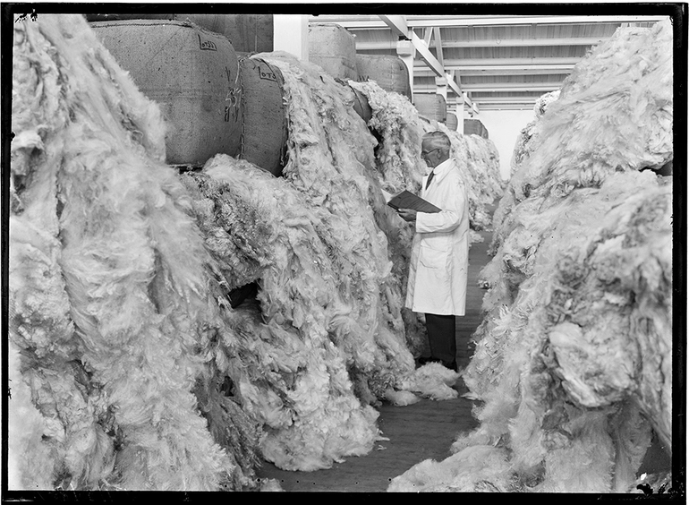 Image: Wool Buyers