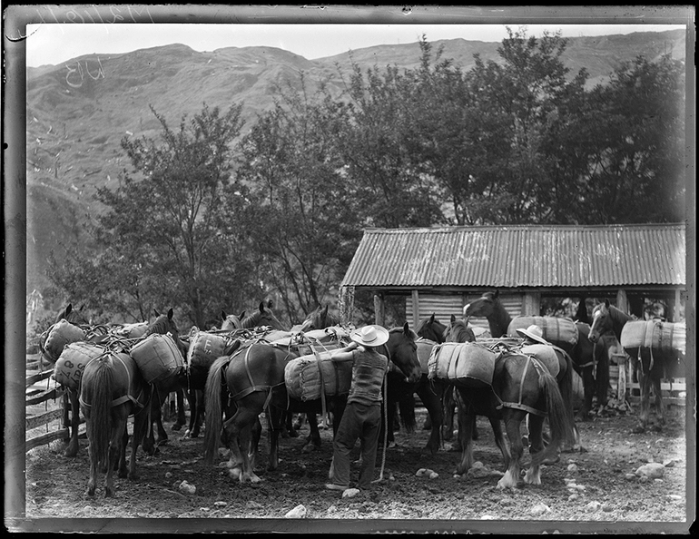 Image: Packhorses East Coast