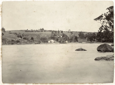 Houses at the edge of Auckland Harbour Image: Houses at the edge of Auckland Harbour